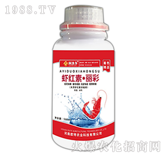 �r�t�ء�����-�W���r�I(y��)