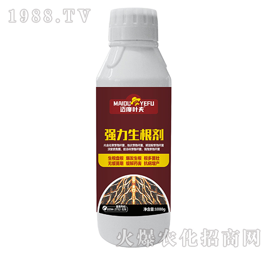 ����������-�~���~��