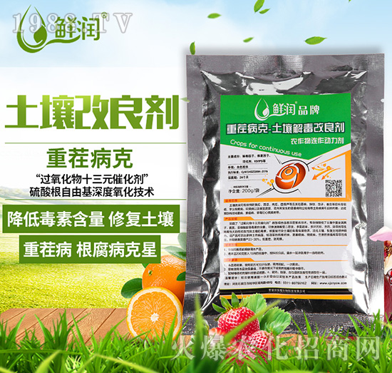 �ز粡��-����������-�r������