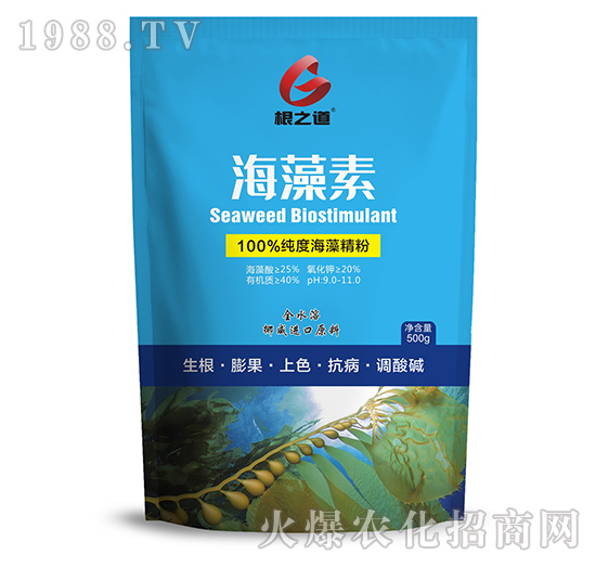 ������-��֮��