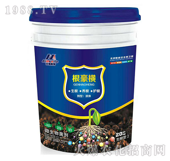 ��������΢�������-�����M-��ķ˹��