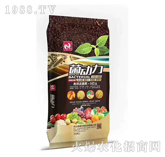 ���Z�l(f��)�������ЙC(j��)����-������-�����t