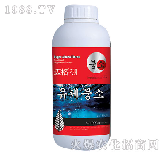 �~����-�xҫ����