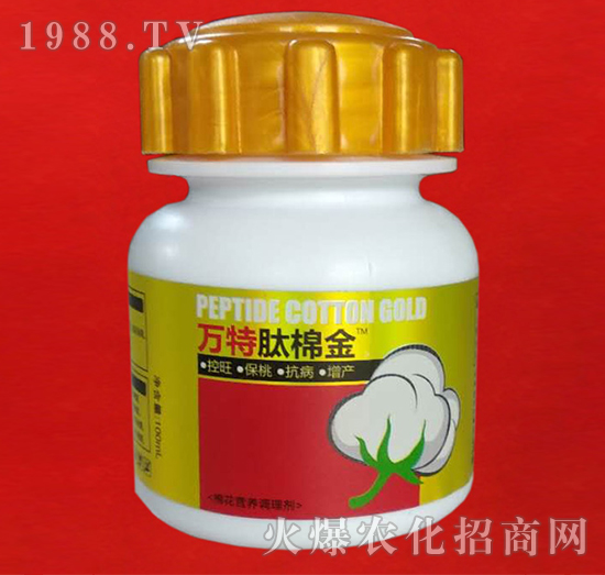 ���޽�-�f��-�ٺ����I(y��)