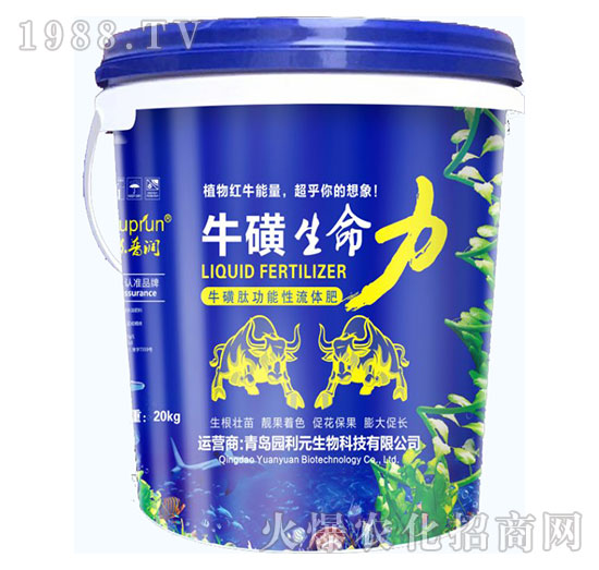 ����������-�@��Ԫ