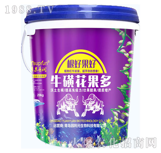 ���ǻ�����-�@��Ԫ