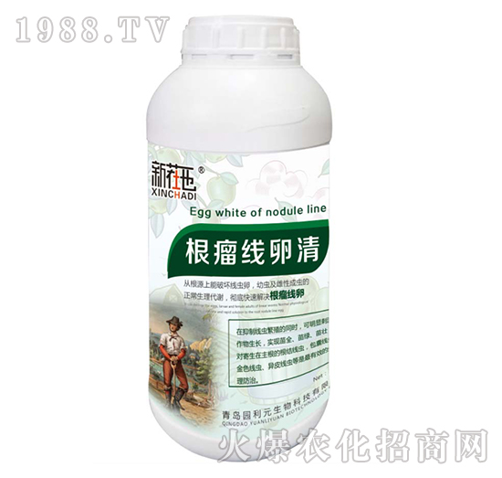 ����������-�@��Ԫ