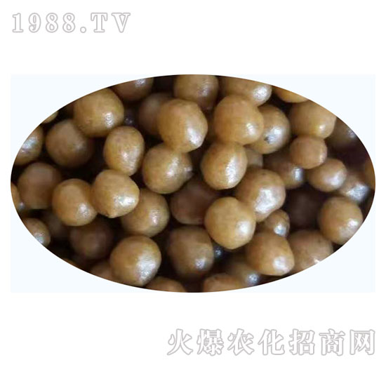 �w����Ʒ10-���ʿطʘI(y��)