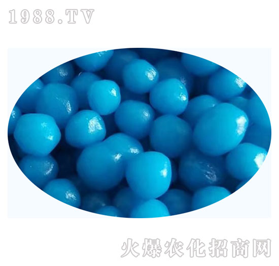 �w����Ʒ6-���ʿطʘI(y��)