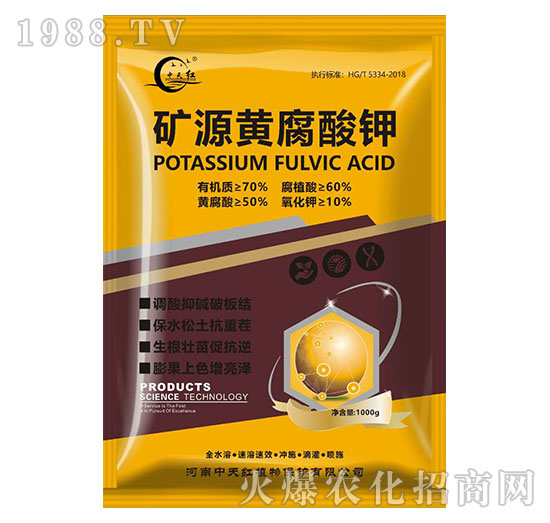 �VԴ�S�����-����t