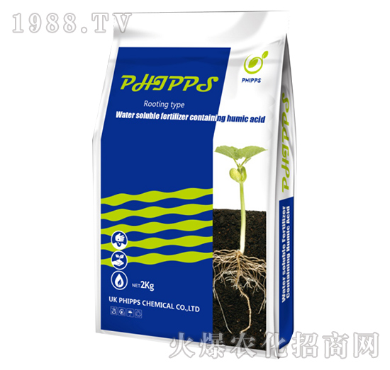 Ӣ���M(j��n)�ڷ�����˹������-���r(n��ng)�S