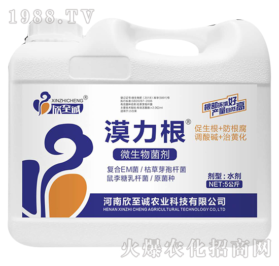 5����΢�������-Į����-�����\(ch��ng)