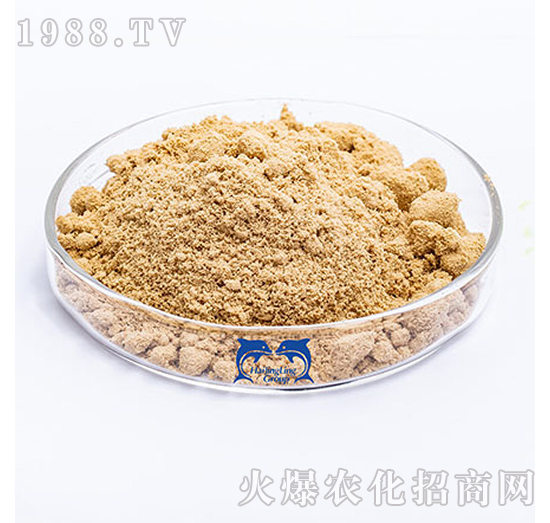 �������ĩ-���L�`