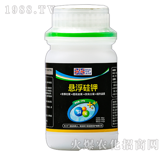 240g�Ҹ����-Ӣ����