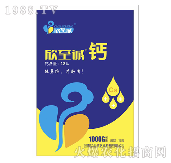 �����\�}-�����\