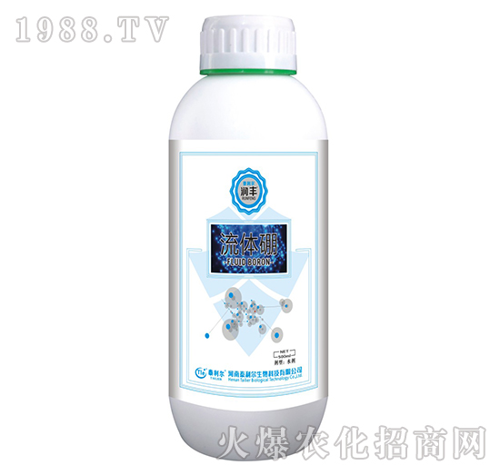 ���w��-���S-̩����