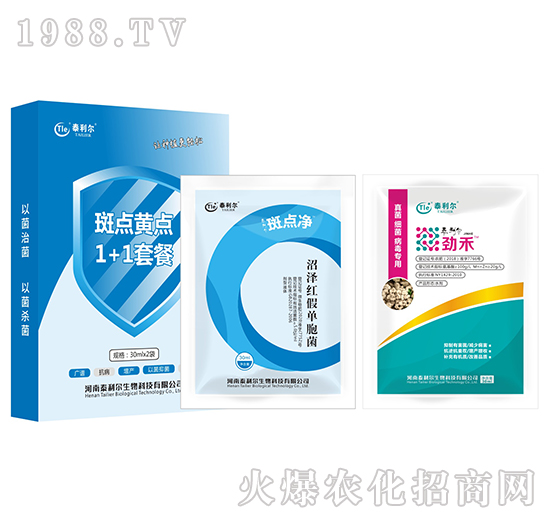 ���c�S�c1+1�ײ�-̩����