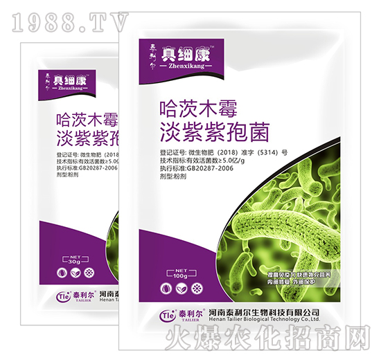 ���ġ��������߾�-�漚(x��)��-̩����