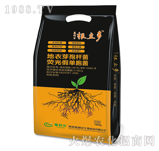 ����ѿ�ߗU�����ɹ�ΰ��U��-������-̩����