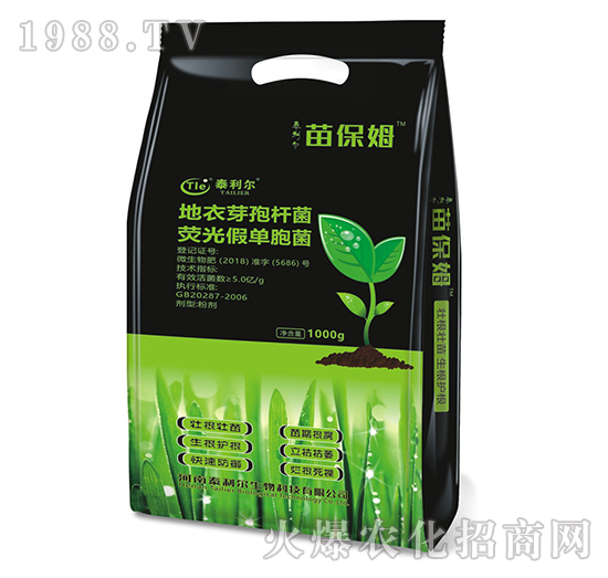 ����ѿ�ߗU�����ɹ�ΰ��U��-�籣ķ-̩����