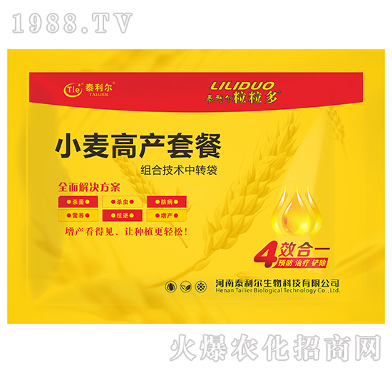 С���߮a�ײͣ���Ч��һ��-������-̩����