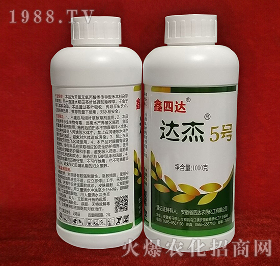 �_(d��)��5̖(h��o)-�����_(d��)-���_(d��)�r(n��ng)ˎ