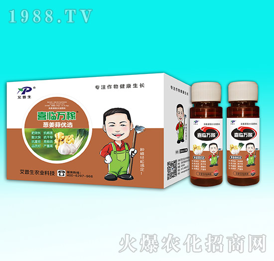 �[���⃞(y��u)�x-ϲ�R�f(w��n)��-������