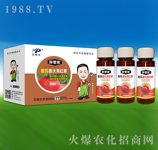 ����������t��-�ֹܼ�-������