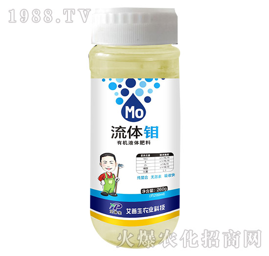 260g���w�f-������