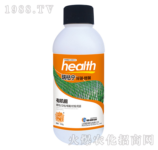 ��݌�-�Ν��ʘI(y��)