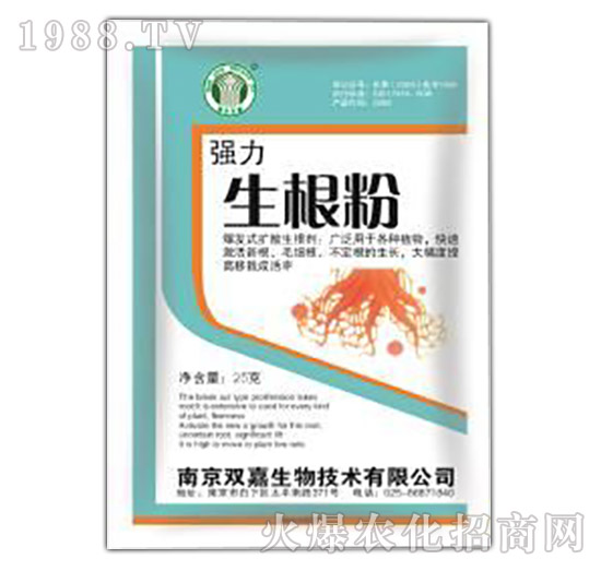 ����������-�p������