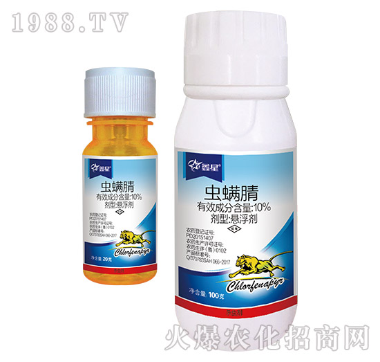 10%�x����-����