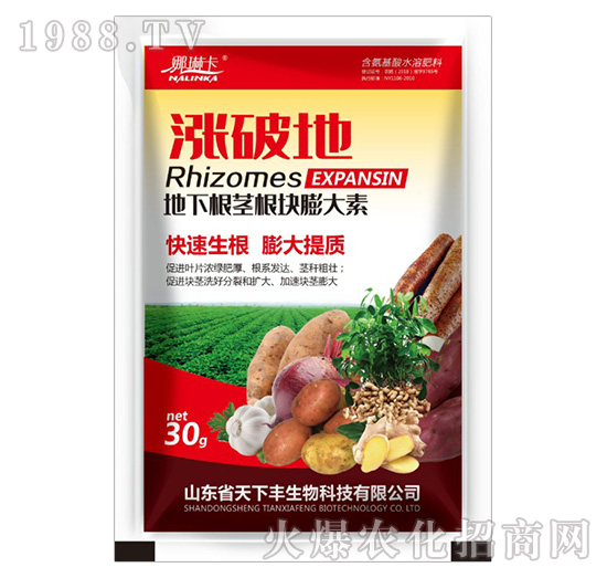 ���¸��o���K�����-�q�Ƶ�-�����S