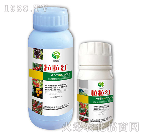 �����t-��ֲ��(y��u)