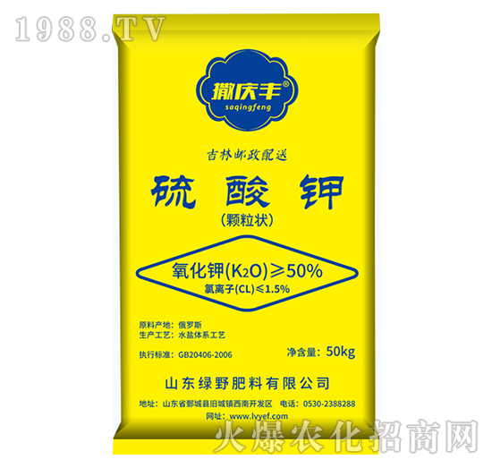 ����⛣��w���-���c�S-�GҰ