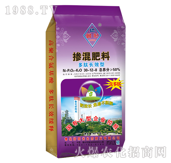 �����LЧ�͓������30-12-8-����