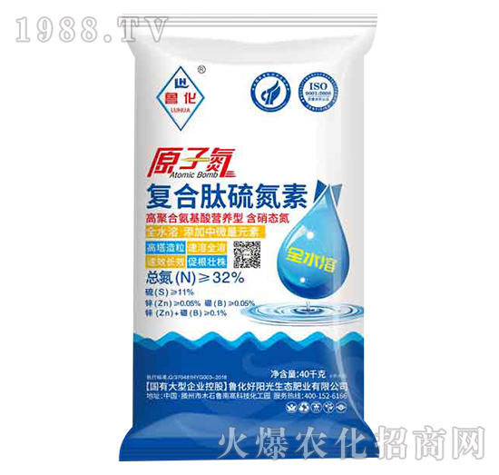 ԭ�ӵ���(f��)������-����