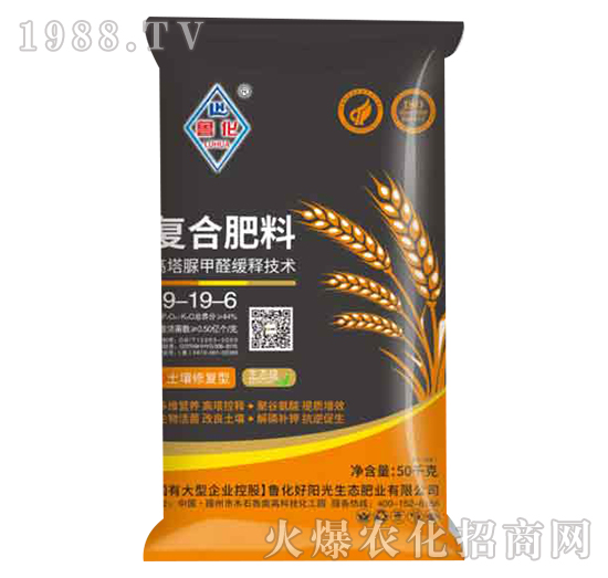 �ͺϷ���19-19-6-����