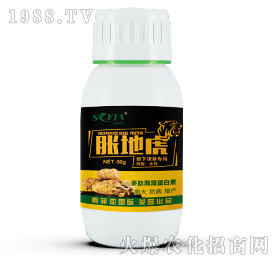 ���������(zhu��n)��-Û�ػ�-���Ɓ�