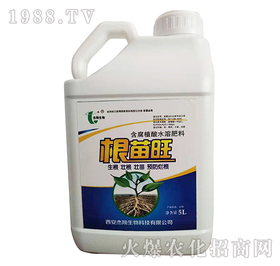 ����ֲ��ˮ�ܷ���-������-��������