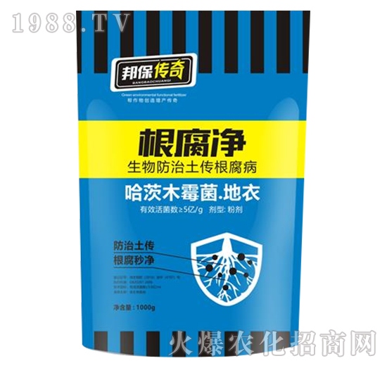 ������-�����-��ʘI(y��)