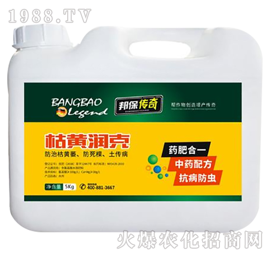 ���S����-�����-��ʘI(y��)