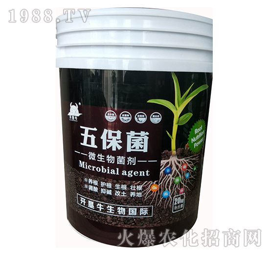 ΢�������-�屣��-�_��ţ