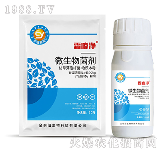 ΢�������-˪�߃�-���(y��ng)