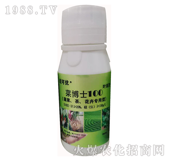 �˲�ʿ100���߲ˡ��������܌��ã�-���Ƀ�(y��u)-��Ɔ���