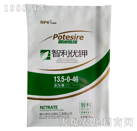 ������(y��u)�13.5-0-46-�յ�˹��-�ۻ�����