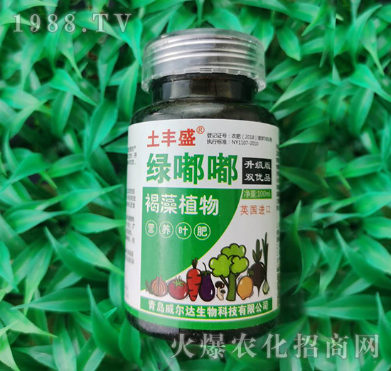 �G��-���Sʢ-�����_(d��)