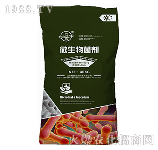 ΢�������-�H�i���B(t��i)