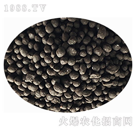 �˜��w��-���r��