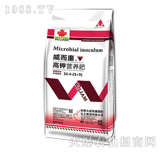 ��⛠I�B(y��ng)��16-4-23+TE-������